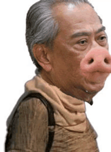 a man with a large pig nose is wearing a backpack .
