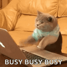 So Busy Working GIF - So Busy Working Typing GIFs