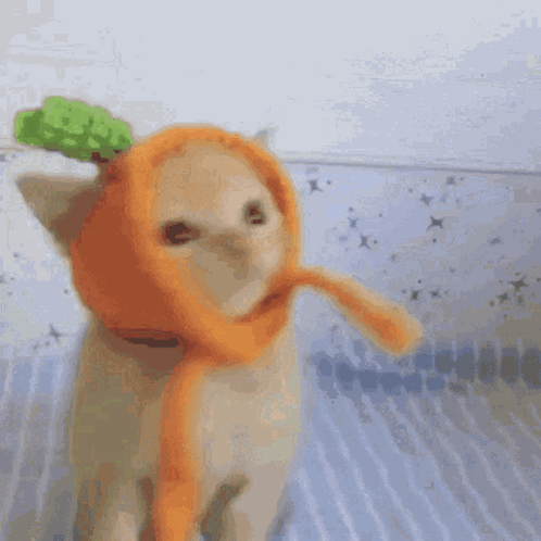 carrot-cat.gif