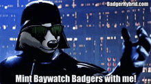 Baywatchbadgers Baywatch Badgers GIF - Baywatchbadgers Baywatch Badgers Badgerspl22 GIFs