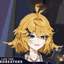 a picture of a girl with the word pybro on the bottom