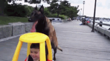 Taking The Kid For A Walk GIF - Reversed Roles Reverse Alternative Universe GIFs