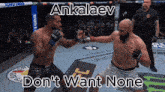 two men are fighting in a cage with the words " ankaaev " on the bottom