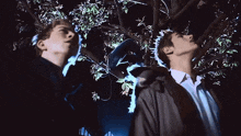 two men are looking up at a tree with leaves