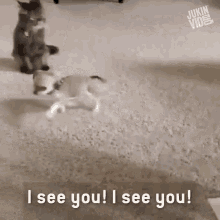 I See You Got My Eyes On You GIF - I See You Got My Eyes On You Im Watching You GIFs