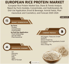 European Rice Protein Market Size GIF