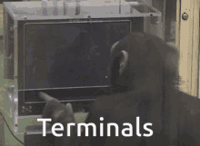 Terminals Hypixel GIF - Terminals Hypixel Skybloxk GIFs
