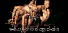 Dog What The Dog GIF - Dog What The Dog GIFs