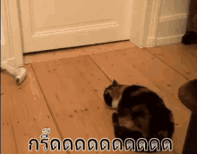 แมวกลัว ตกใจ กระโดด GIF - Scared Cat Scaring Cat Jumping Cat GIFs