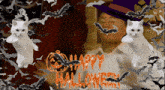 white cats are surrounded by bats and the words happy halloween