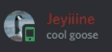 Cool Goose Jeyiiine GIF