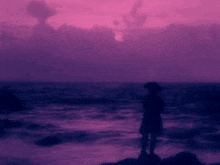 a silhouette of a person standing in front of a purple sky