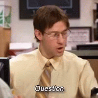 The Office Rainn Wilson GIF - The Office Rainn Wilson Question - Discover &  Share GIFs