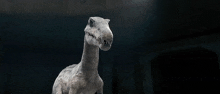 a statue of a dinosaur is standing in a dark room looking at the camera .