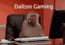 Dalton Dalton Gaming GIF - Dalton Dalton Gaming Gaming GIFs