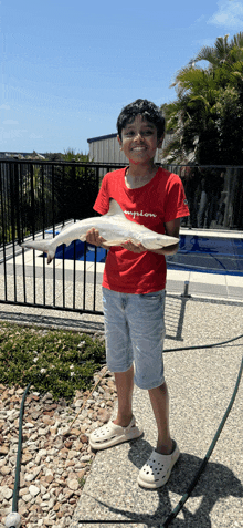a young boy wearing a red champion shirt holds a shark