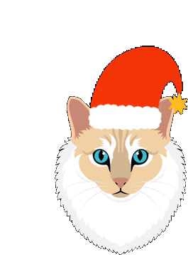 Christmas Cat Merry Christmas Sticker - Christmas Cat Merry Christmas Happy Holidays Stickers