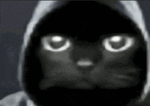 a black cat is wearing a hooded jacket with glowing eyes .