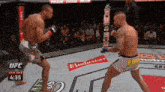 two men fighting in a ufc ring with a budweiser advertisement on the floor