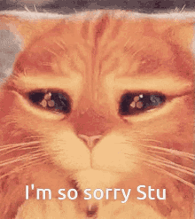 stu sorry