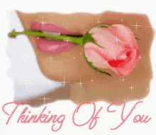 Thinking Of You Flower GIF
