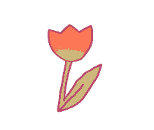 flower tulipe
