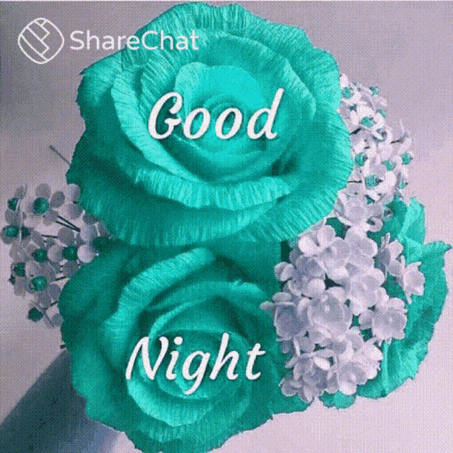 Share chat 2024 good night