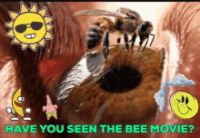 Bee Movie Lordsheen GIF