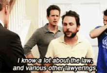 Bird Law I Know A Lot A Bout The Law And Various Other Lawyerings GIF - Bird Law I Know A Lot A Bout The Law And Various Other Lawyerings GIFs
