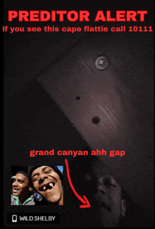 predator alert if you see this cape flattie call 1011 grand canyon ah gap