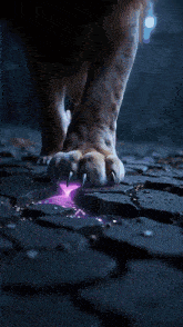 a close up of a lion 's paw with a purple light coming out of it .