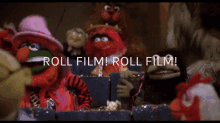 roll film muppets the muppet movie animal