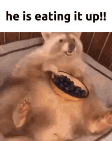 Eat It Up GIF - Eat It Up GIFs