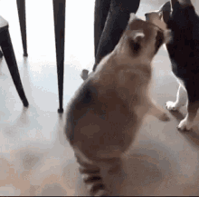 Bedtime Excited GIF - Bedtime Excited GIFs