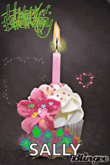 a birthday card with a cupcake with a candle and the name sally on it