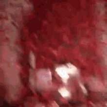 a blurred image of a crowd of people watching a fireworks display