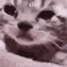 Sid Come Home Sid GIF - Sid Come Home Sid Sid Moyai GIFs