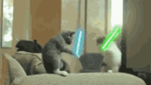 Cats Fighting GIF - Cats Fighting Lightsaber GIFs