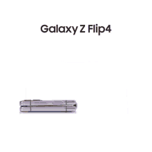 flip galaxy