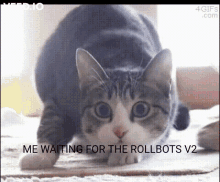 Rollbots Rollbotsv2 GIF - Rollbots Rollbotsv2 Rollbit GIFs