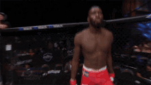 a fighter in a cage with the name sadibou s on the bottom