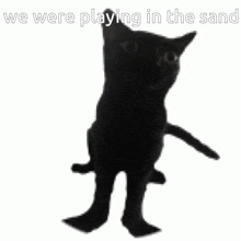 Hidden In The Sand We Were Playing In The Sand GIF - Hidden In The Sand We Were Playing In The Sand GIFs