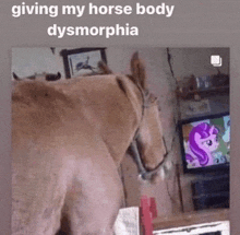 a horse is standing in front of a television in a room .