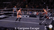 Johnny Gargano Johnny Wrestling GIF