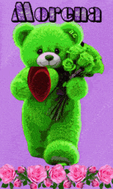 a green teddy bear holding a bouquet of pink roses with the name morena