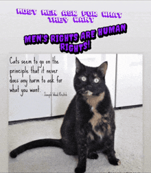 a picture of a cat with a quote about men 's rights above it