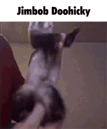 Jimbob Jimbob Doohicky GIF