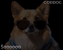 Goddog Have You Bought GIF - Goddog Have You Bought Oooooo GIFs