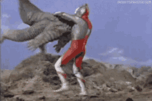 Ultraman GIF - Ultraman Alligator Tackle GIFs