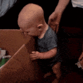 a baby is standing in a cardboard box being held by someone